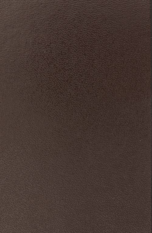 Valentino By Mario Valentino Dolly Leather Belt In Brown