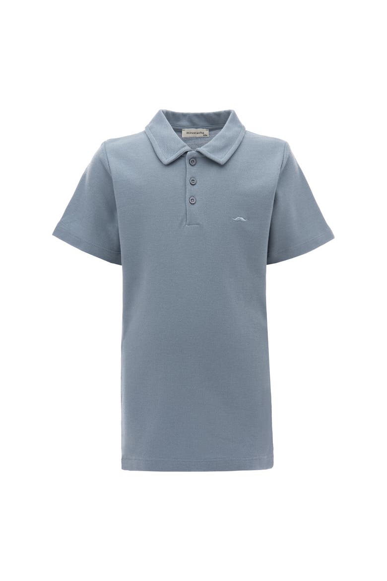 Solid Polo Shirt, Main, color, Blue