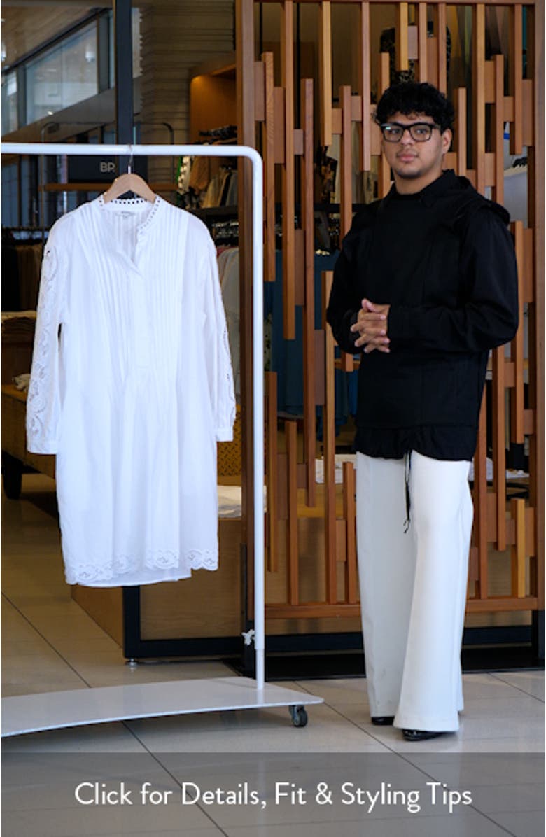 Pintuck Eyelet Long Sleeve Minidress, sales video thumbnail