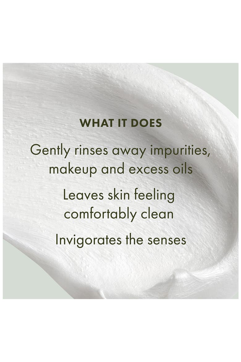 Checks and Balances™ Frothy Face Wash, Alternate, color, NO COLOR