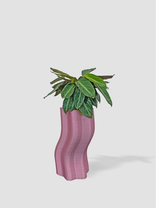 Form & Seek Frosting Large Planters In Pink