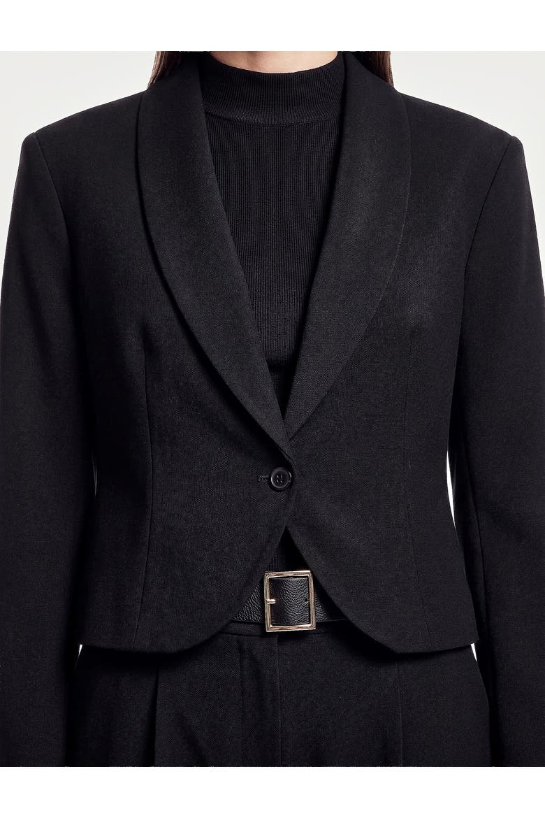 Long Sleeve Shawl Collar Cropped Blazer Jacket, Alternate, color, BLACK