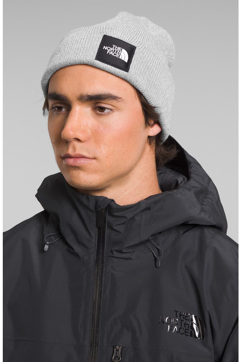 Big Box Logo Beanie, Alternate, color, TNF LIGHT GREY HEATH