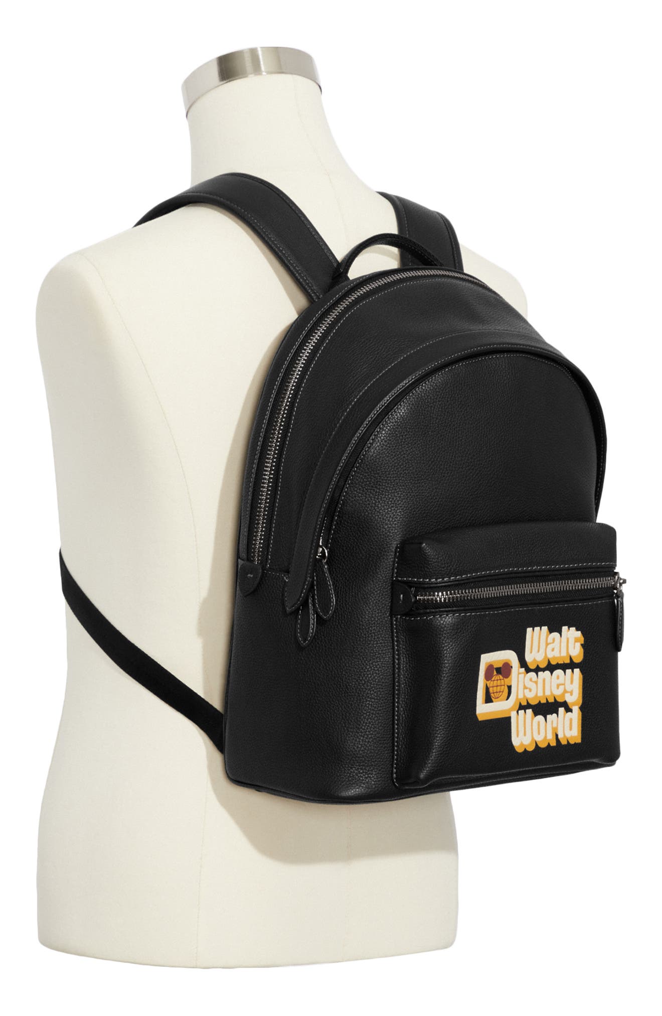 COACH x Disney Walt Disney World Backpack, Alternate, color, 