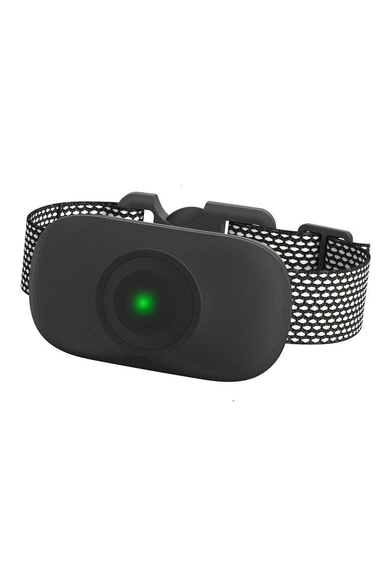 Ellipse 1-to-3 Dog 550-Yard Range 16-Level Vibration Tone and Stimulation Training Collar, Alternate, color, BLACK