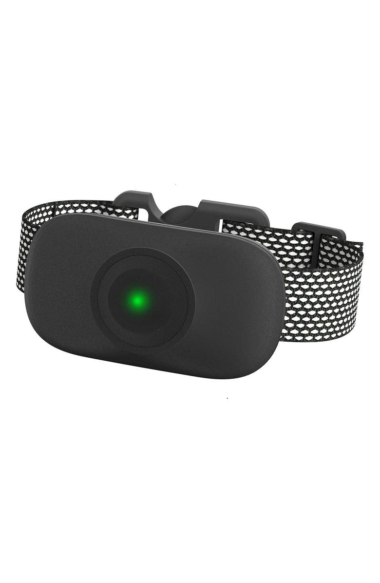 PET LIFE Ellipse 1-to-3 Dog 550-Yard Range 16-Level Vibration Tone and Stimulation Training Collar, Alternate, color, 