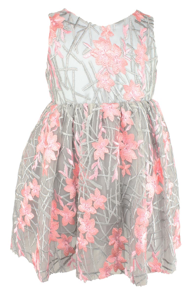 Popatu Embroidered Flower Fit & Flare Dress, Main, color, 