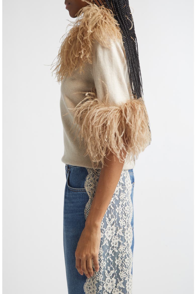 Feather Trim Short Sleeve Cashmere Sweater, Alternate, color, BEIGE
