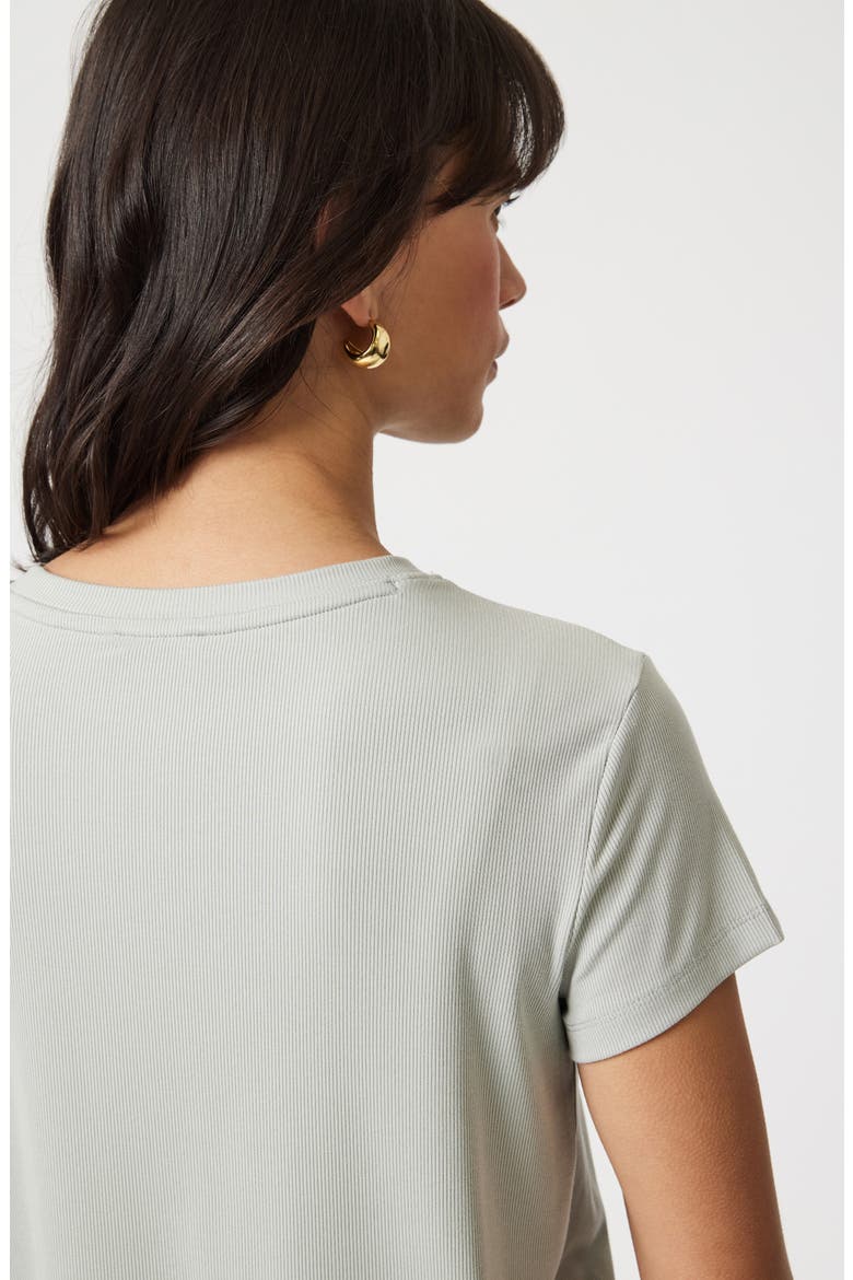Basic Rib T-Shirt, Alternate, color, PIGEON