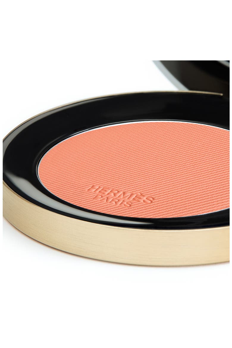 Rose Hermès - Silky Blush Powder, Alternate, color, 19 ROSE ABRICOT