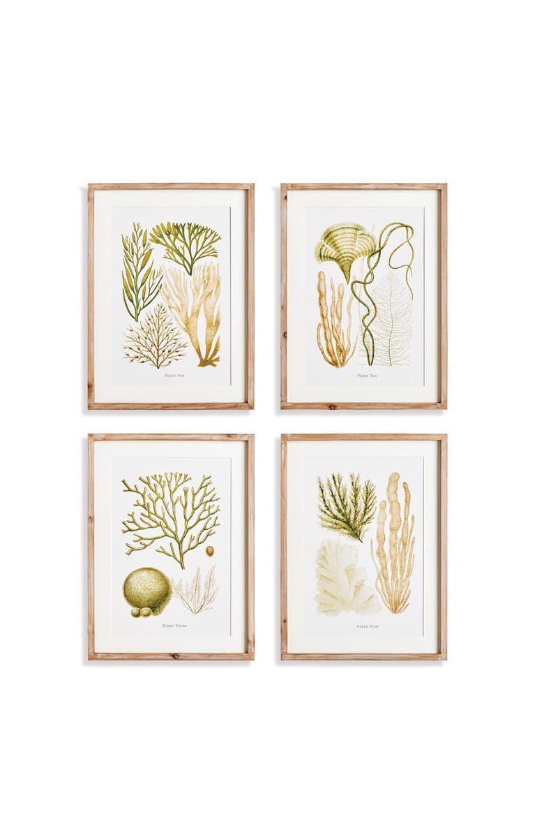 Napa Home & Garden Verdant Coral Study Framed Wall Art Set of 4, Main, color, 