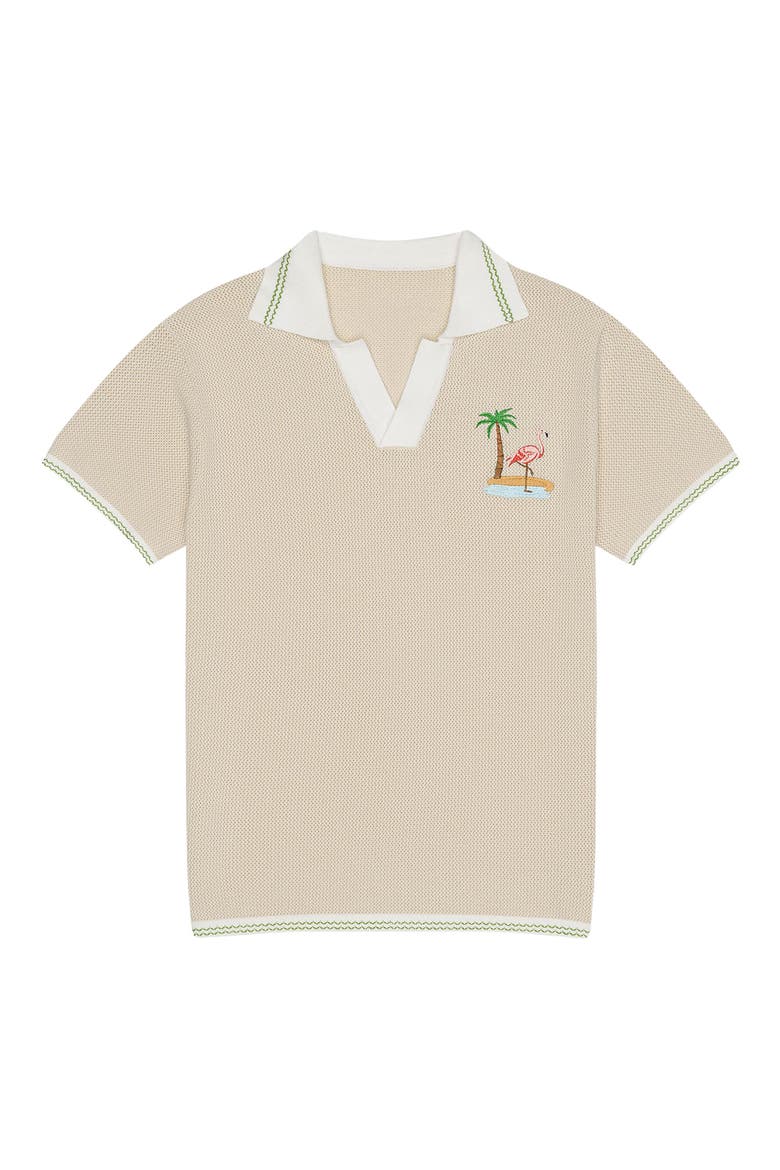 Flamingo Beach Mesh Johnny Collar Polo, Main, color, TAN MULTI