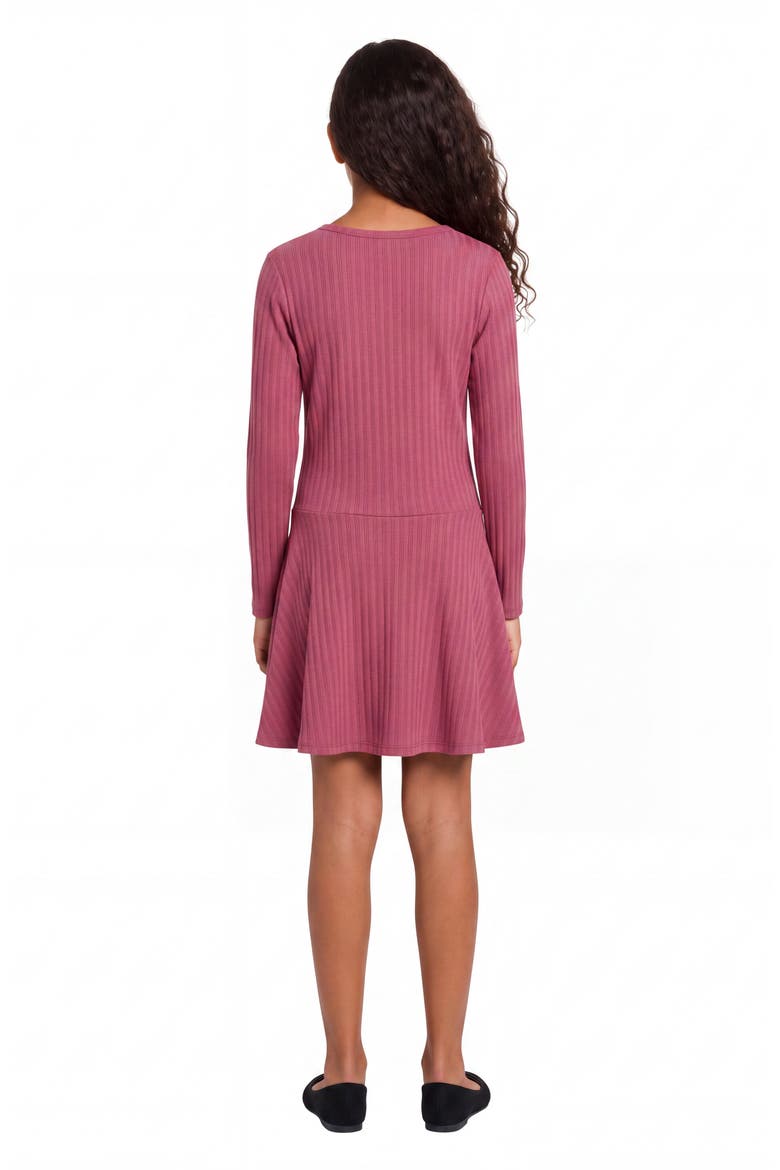 Kids' Rib Knit Henley Dress, Alternate, color, BERRY