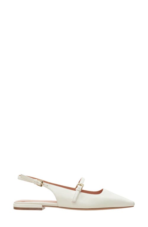 Linea Paolo Celeste Slingback Pointed Toe Flat In White