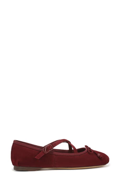 Circus Ny By Sam Edelman Zuri Strappy Ballet Flat In Burgundy