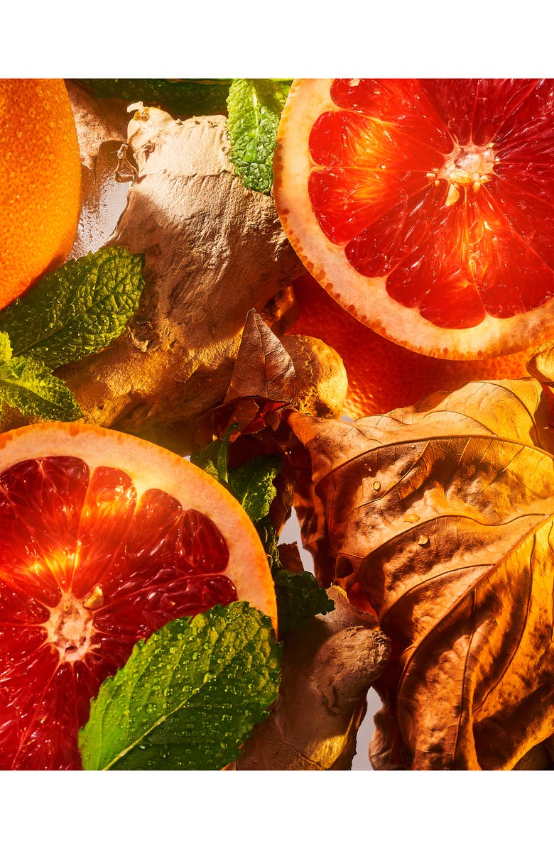 ROJA Burlington 1819 Eau de Parfum, Alternate, color,