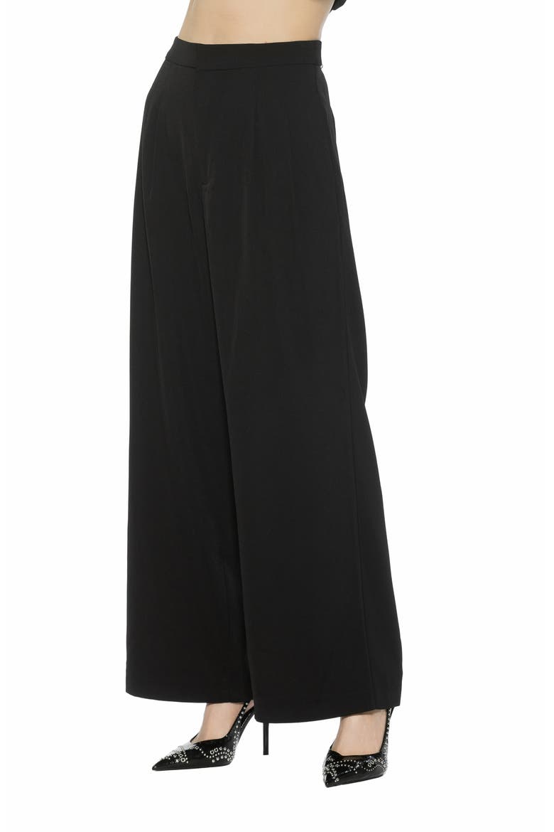 Arlo Pleated Wide Leg Pants, Alternate, color, BLACK