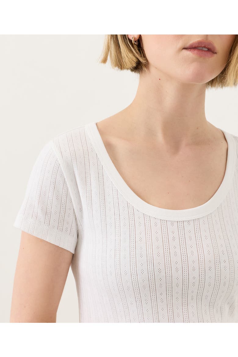Organic Cotton Pointelle Scoop Neck Tee, Alternate, color, White