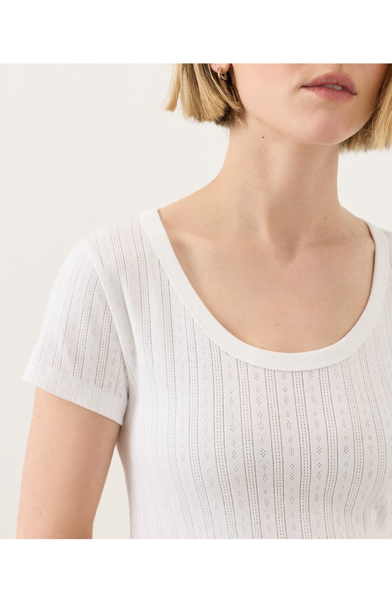 Pact Organic Cotton Pointelle Scoop Neck Tee, Alternate, color, White