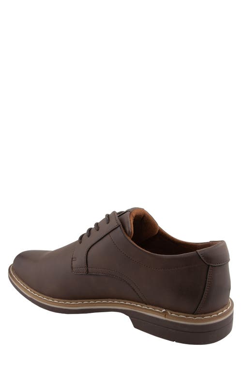 Deer Stags Belmont Plain Toe Derby In Brown