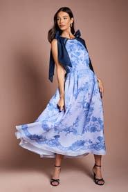Coast Placement Print Organza Midi Dress