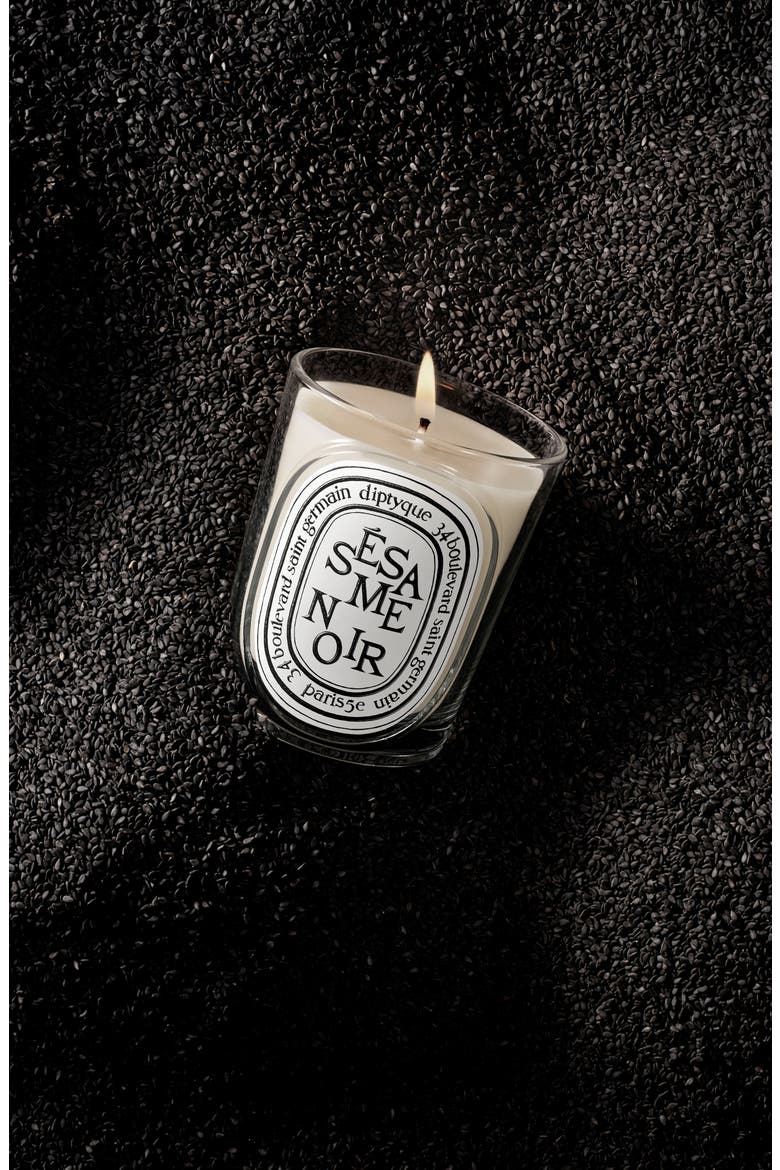 Sésame Noir (Black Sesame) Classic Candle, Alternate, color, NO COLOR