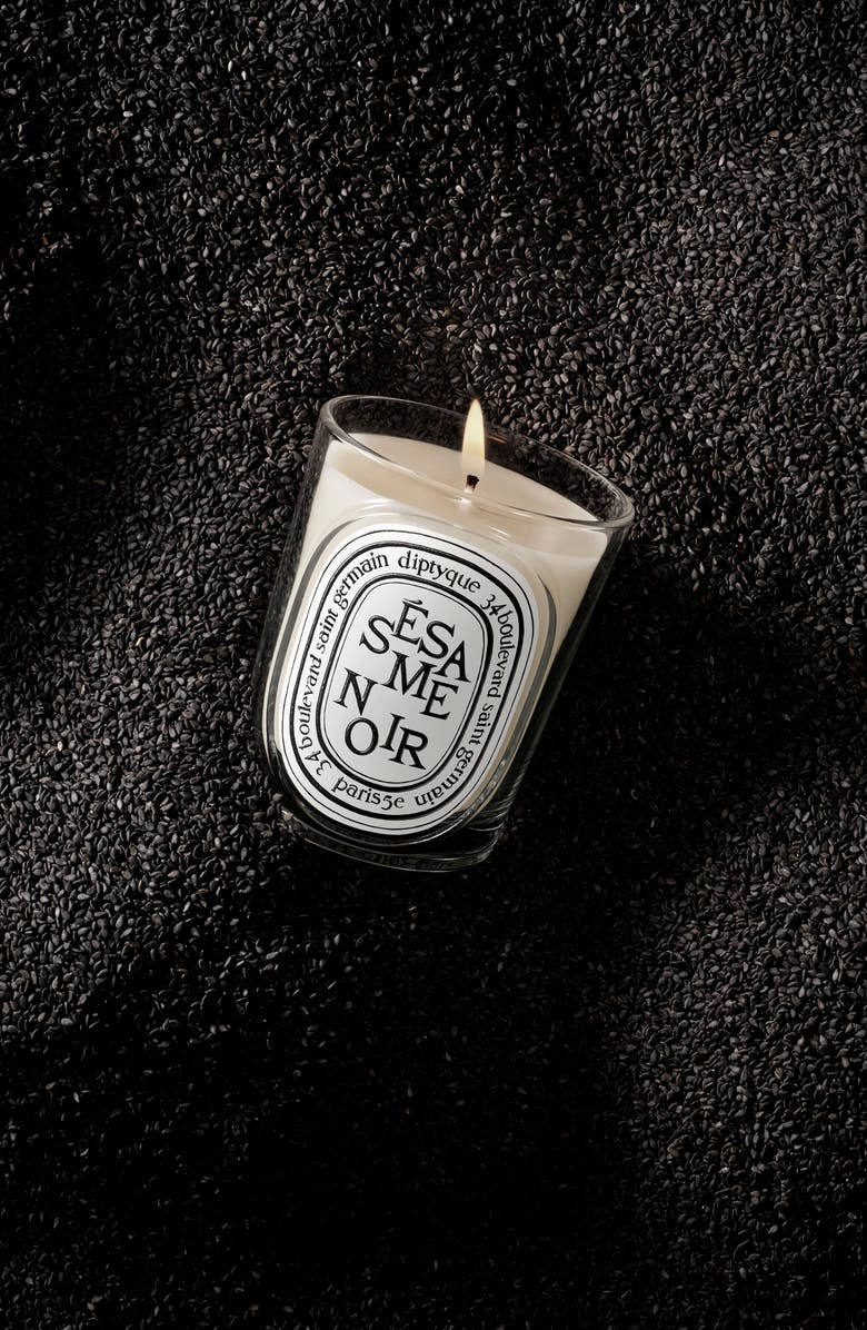 Diptyque Sésame Noir (Black Sesame) Classic Candle, Alternate, color, 