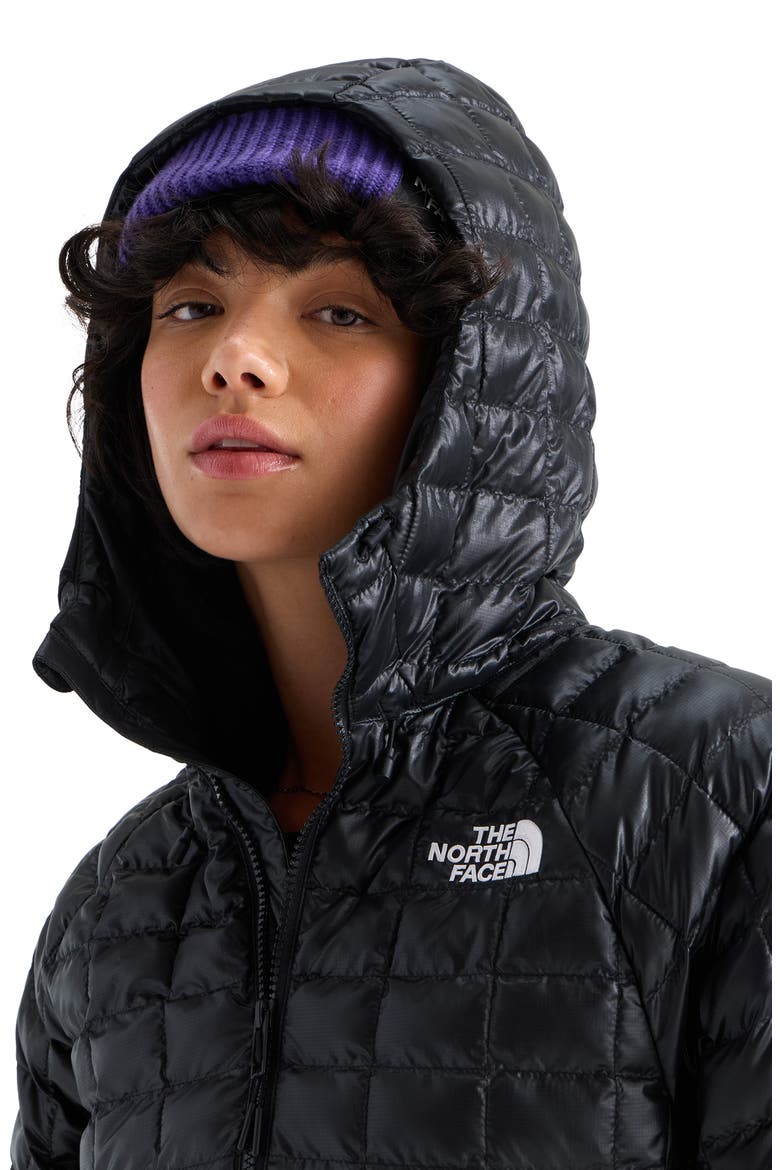 Thermoball Quilted Hooded Parka, Alternate, color, TNF BLACK/ TNF BLACK