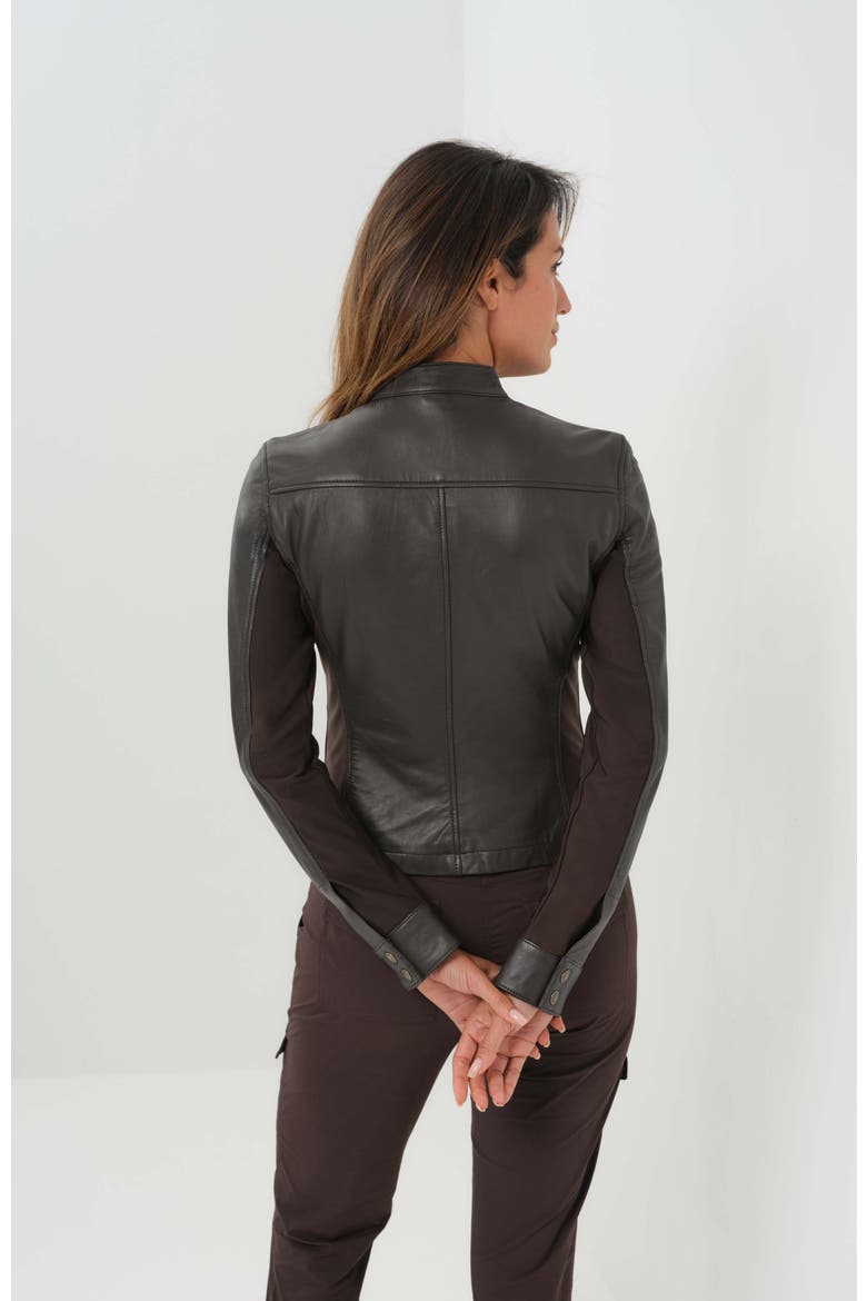 Kensington Mixed Media Moto Leather Jacket, Alternate, color, Espresso
