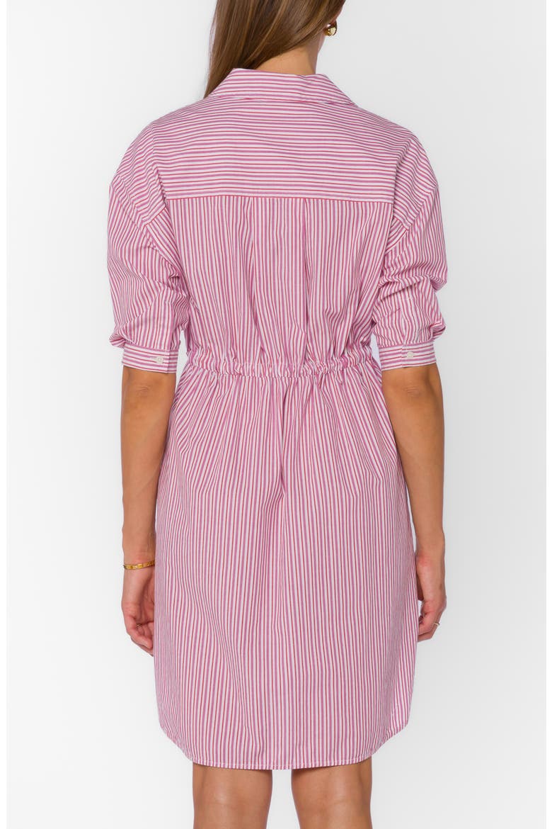 Stripe Drawstring Waist Shirtdress, Alternate, color, COSMIC PINK STRIPE