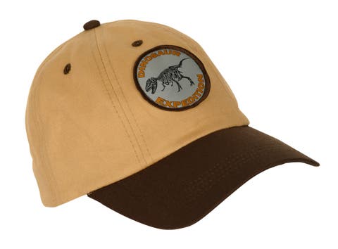 Kids Dinosaur Cap