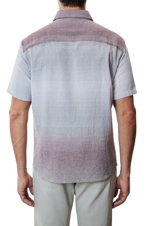 Robert Barakett Tiffin Short Sleeve Woven Button-up Shirt In Purple