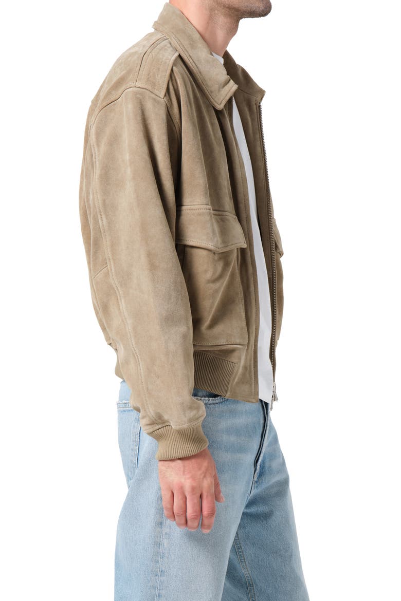 Emil Suede Bomber Jacket, Alternate, color, ARIZONA M SAND