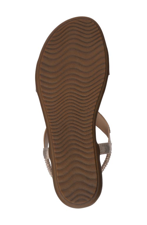Gc Shoes Viana Ankle Strap Sandal In Gold