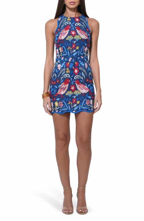 Adelyn Rae Floral Embroidery Sleeveless Minidress