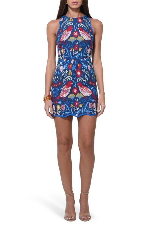 Adelyn Rae Floral Embroidery Sleeveless Minidress in Blue Multi  product
