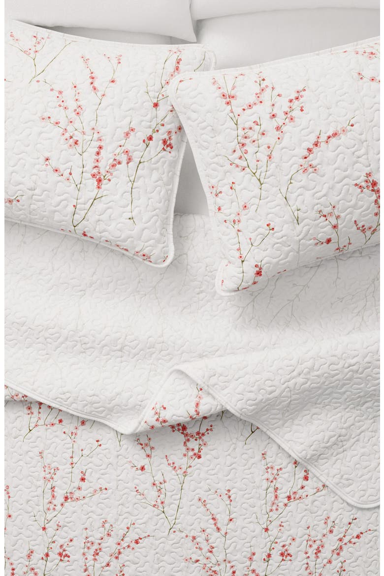 Wildflower Quilt Set, Alternate, color, CHERRY BLOSSOMS