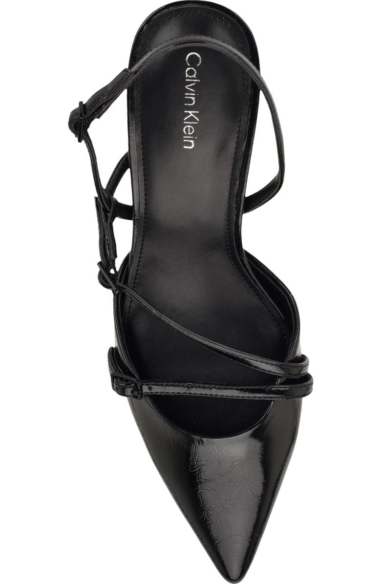 Calvin Klein Tarlie Pointed Toe Slingback Pump, Alternate, color, Black
