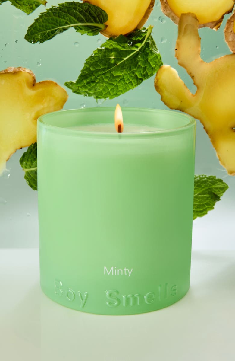 Boy Smells Minty Candle, Alternate, color,
