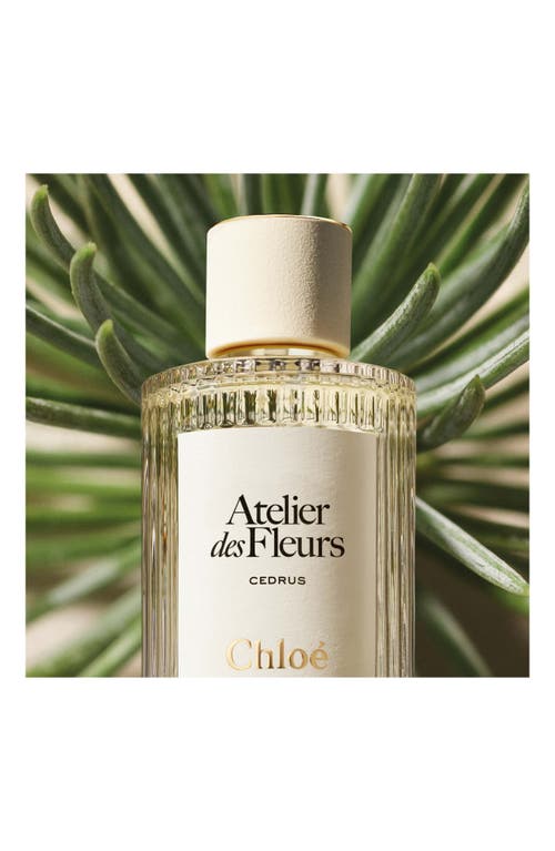 Chloé Atelier Des Fleurs Miniature Fragrance Set In Transparent