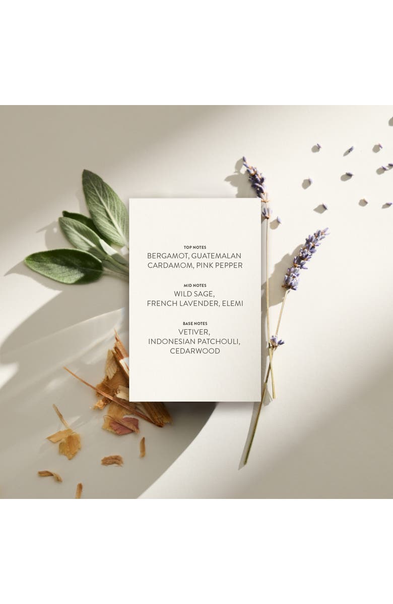 Michael Malul KTORET Black Tie Eau de Parfum, Alternate, color, 10Ml