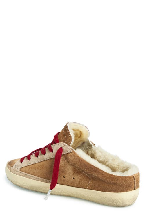 Golden Goose Super-star Sabot Geniune Shearling Mule Sneaker In Multi