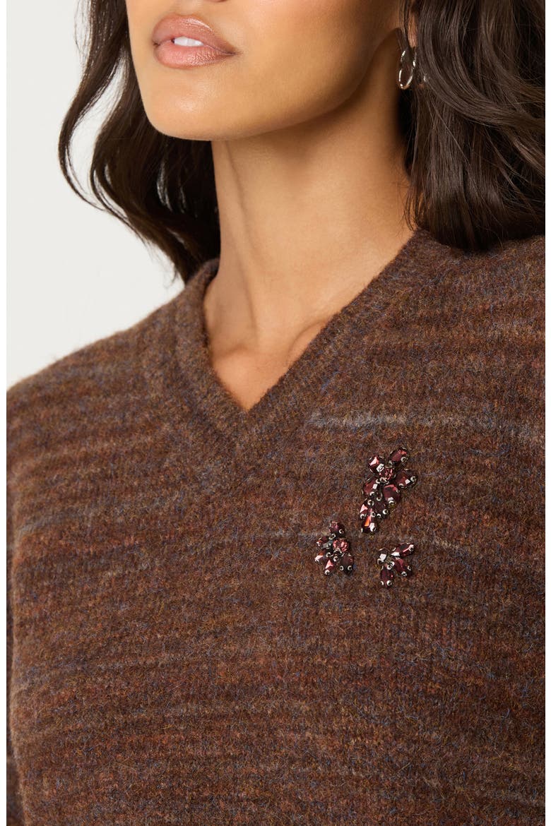 Dasia Embellished V-Neck Sweater, Alternate, color, BROWN