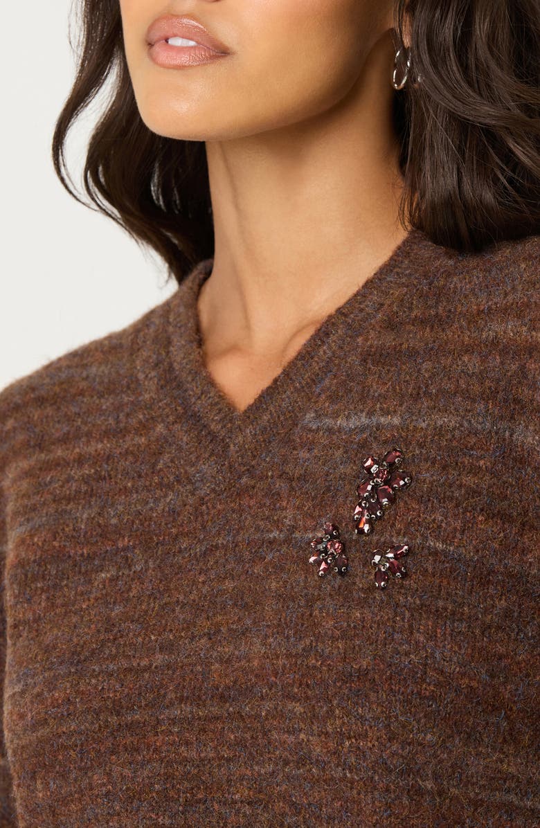 ASTR the Label Dasia Embellished V-Neck Sweater, Alternate, color, Brown
