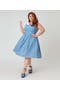 selected Blue Gingham