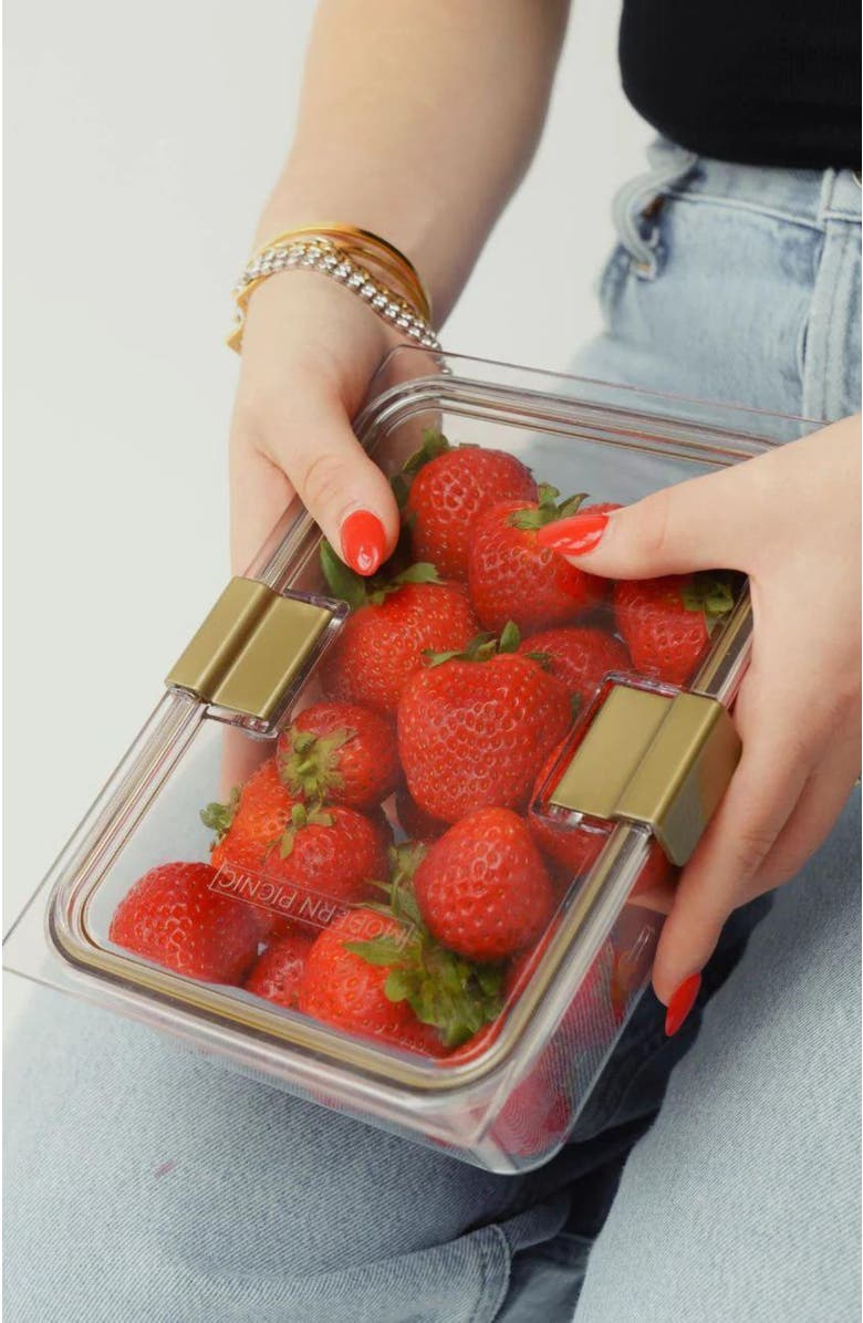 Modern Picnic LUNCHER + 1 CONTAINER SET, Alternate, color, Black