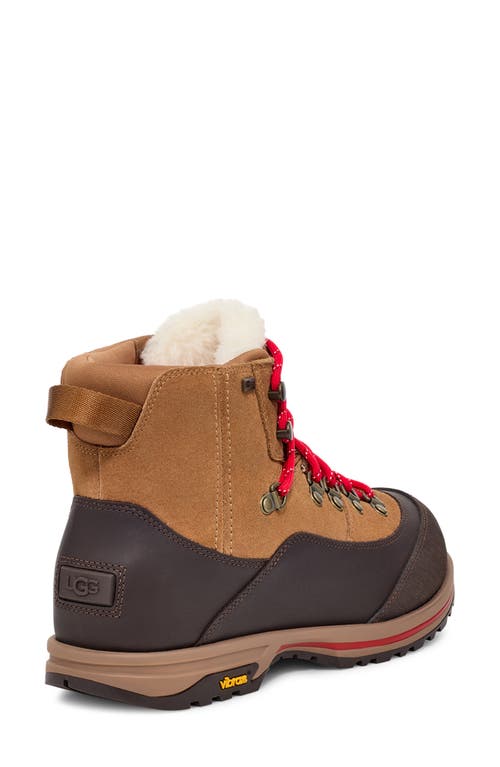 Ugg Short Rubber Sole Pull Tab Boots In Chestnut