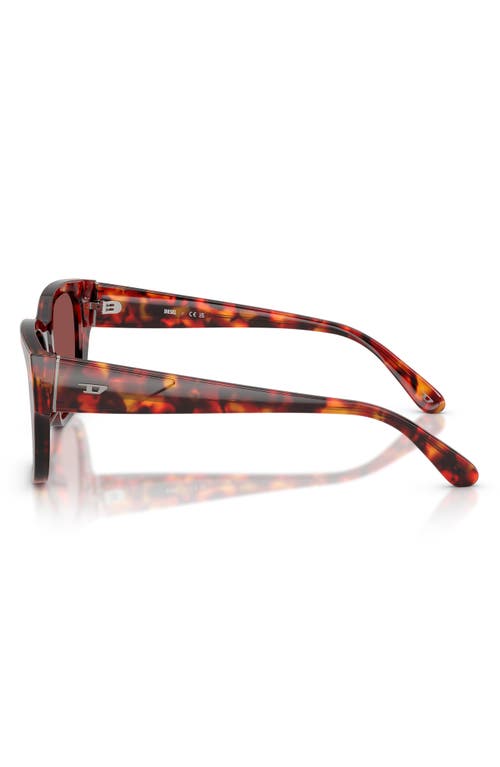 Diesel Unisex Sunglass Dl2005 In Havana Brown/dark Violet/red