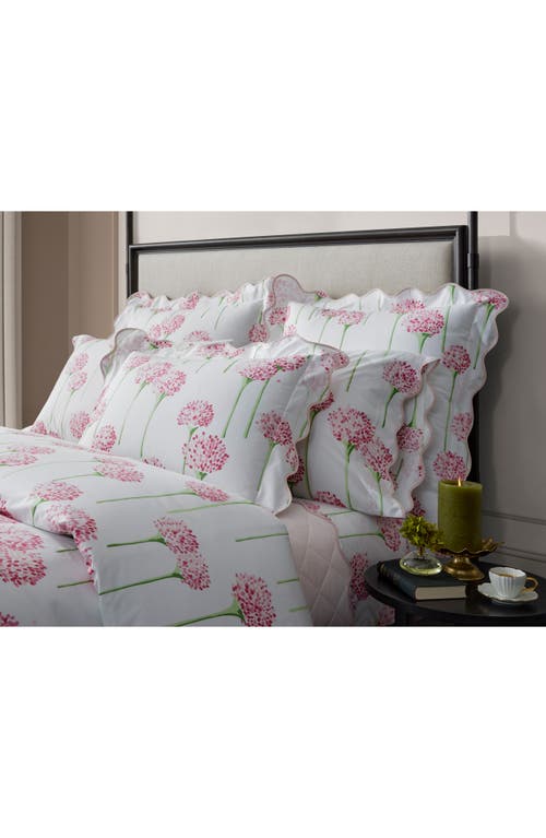 Matouk Floral Cotton Percale Flat Sheet In Peony