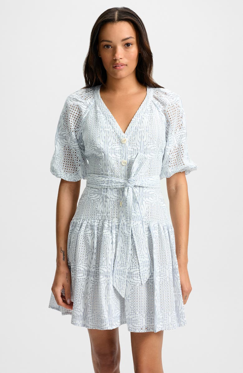 Veronica Beard Bobbie Embroidered Eyelet Puff Sleeve Fit & Flare Dress, Alternate, color, 